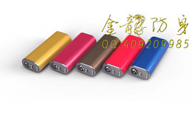 揭陽(yáng)市周邊啥地方有安保器材店